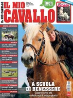 Il mio Cavallo